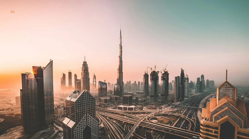 uae license cost