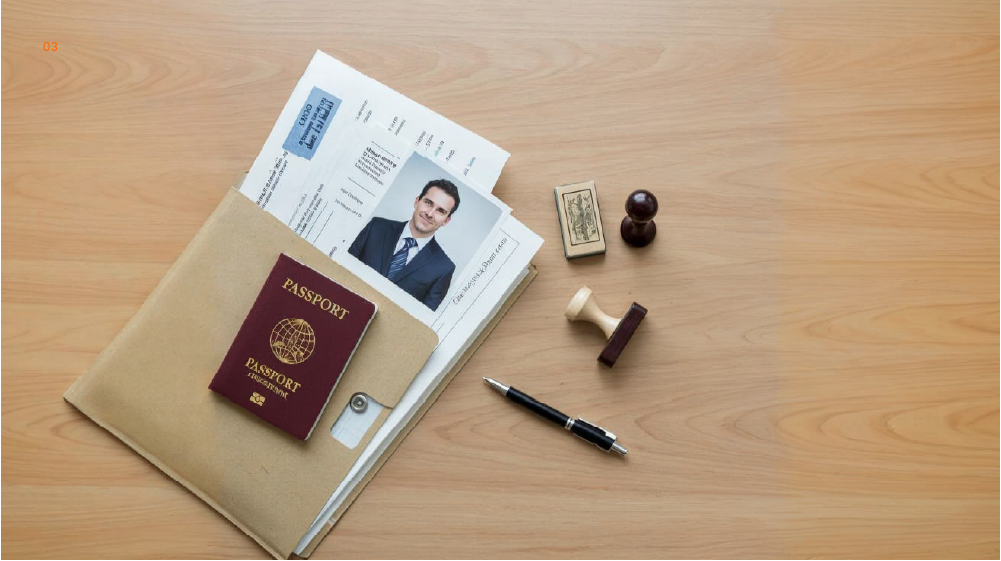 dubai professional license