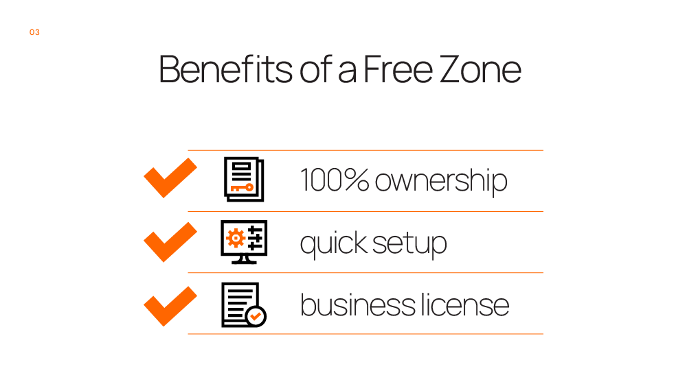 what is a freezone business