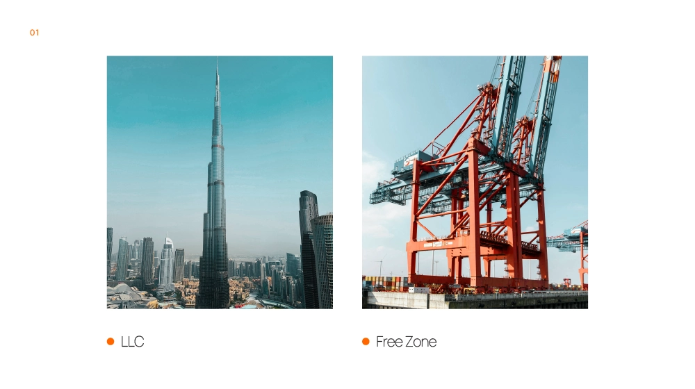 Difference Between LLC and Freezone in UAE