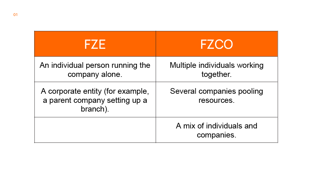 difference between fze and fzco