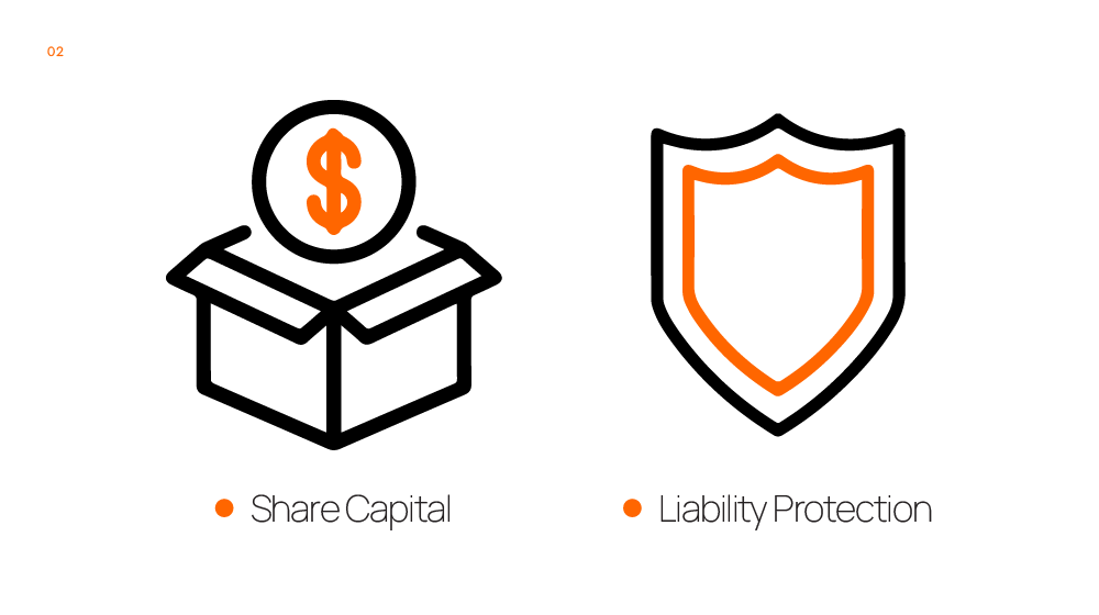 Share Capital & Liability Protection