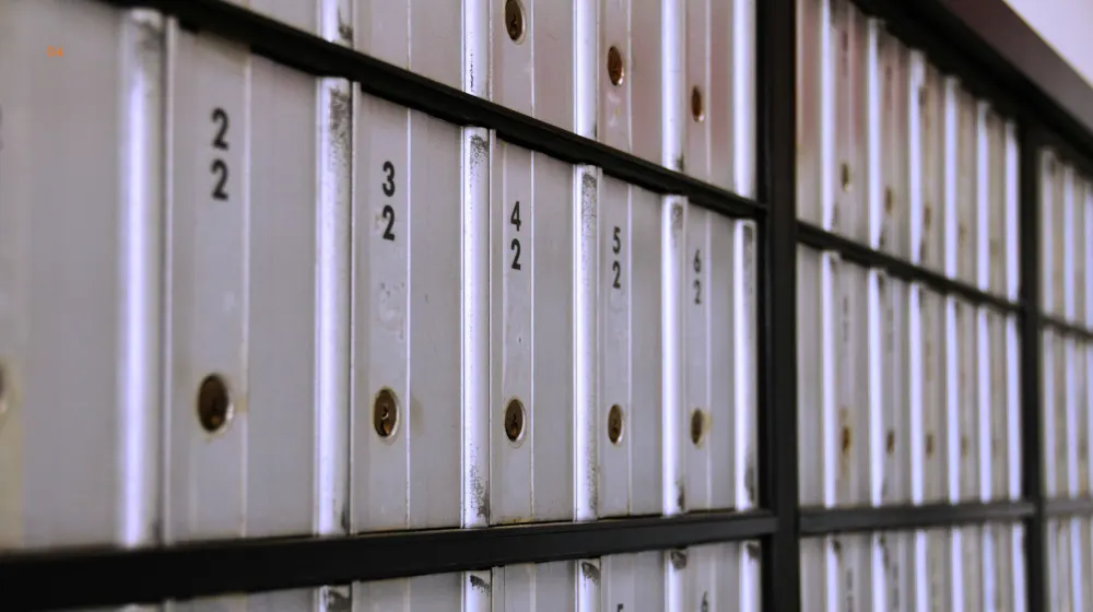 Compliance and Risk Management in Tax Optimization
